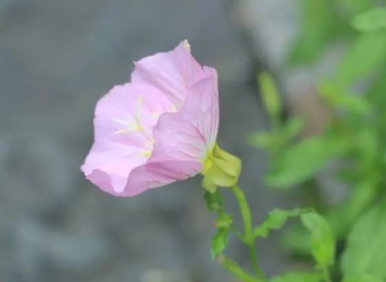 這一生,什麼最重要?