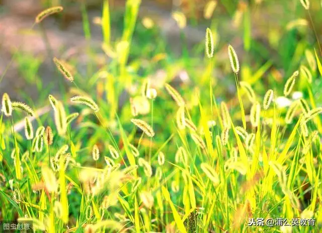 你只是單位的草,卻是家庭的天