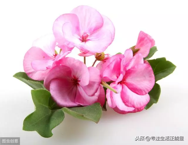 遇事最有水平的處理方法!(趕緊收藏)