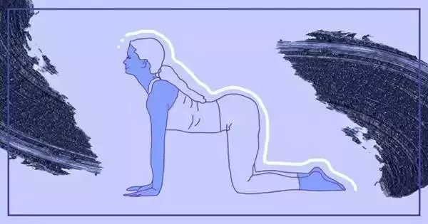 女人如何讓全身都瘦,不如堅持做這10個動作,不僅可以減肥,還可以塑造好的身材