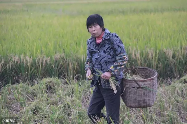 丈母娘不是善茬,每次吵架老婆都找她媽撐腰,這次我不想再忍了