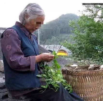 母親要飯養出富豪兒子,婚禮當天卻嫌棄拒之門外 !