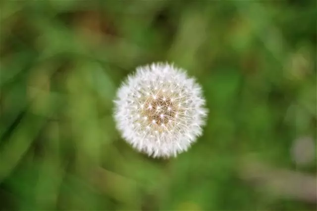 情緒管理經常失敗的幾個星座