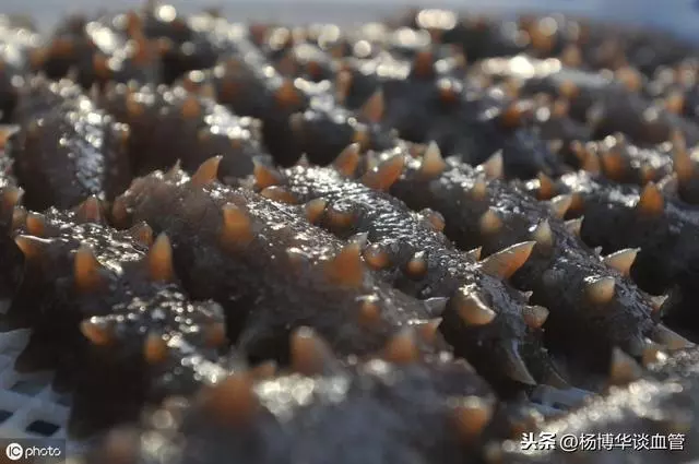補鈣效果「出色」的10種食物,比吃保健品管用,這幾類人不要吃