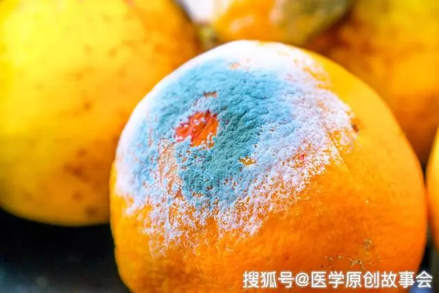 六種食物,最好不要放冰箱裡,不僅容易變質,還可能是最強致癌物!