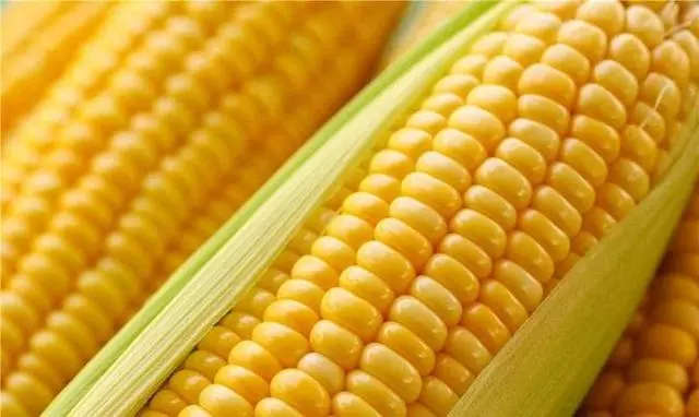 保護眼睛就要多吃這些食物!