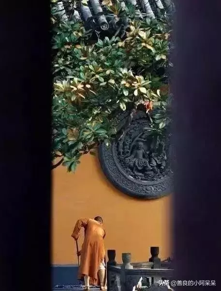 佛說:若不是心寬似海,哪來的風平浪靜!(深度好文)