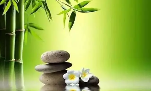 靜氣,是人生頂級的智慧 (深度好文)