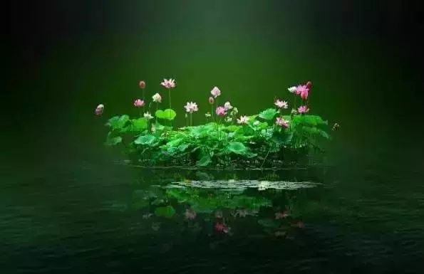 靜氣,是人生頂級的智慧 (深度好文)
