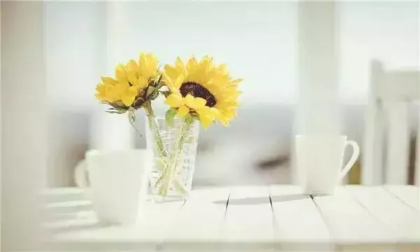 靜氣,是人生頂級的智慧 (深度好文)