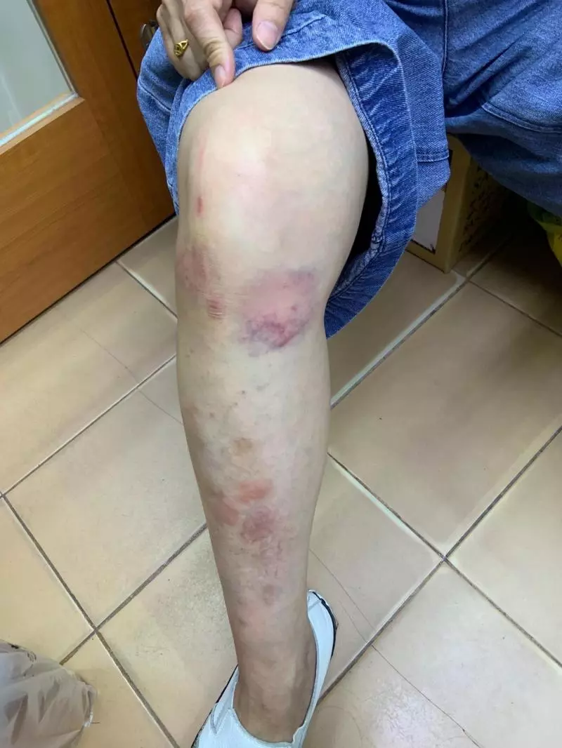 狗狗肉前搖臂無碰撞斷裂,原廠回應『車倒次數太多造成』! 車主無奈「你是認命了,還是想要訓練EQ」