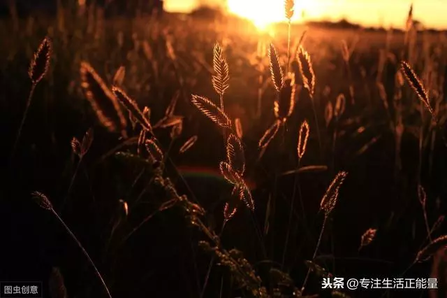人生最容易留下的9個遺憾,希望你都沒有!(都看看吧)