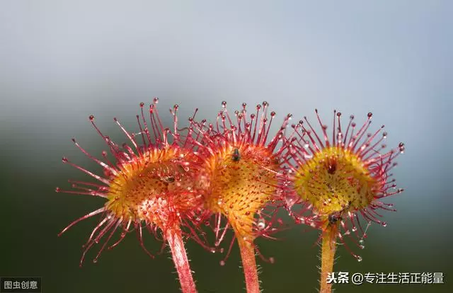 人生最容易留下的9個遺憾,希望你都沒有!(都看看吧)