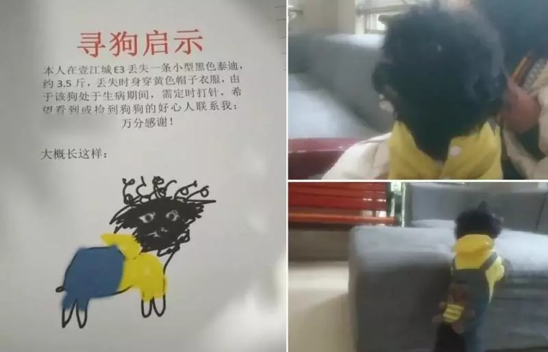 一張尋狗啟事上面「印象派畫風」讓人看到笑歪,沒想到順利找回狗狗後「本尊就長這樣」