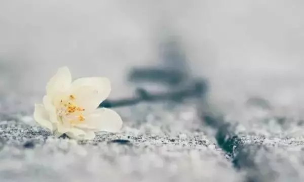 有的人,能忘就忘,該放就放!