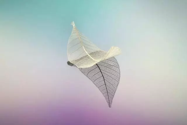 學會獨處,才是生活的強者