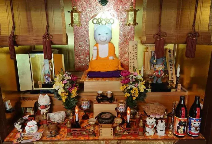 貓奴必來參拜!全是貓的「喵喵寺」 奧嘟嘟貓住持、貓和尚都來歡迎你~