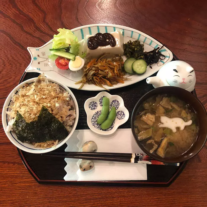 貓奴必來參拜!全是貓的「喵喵寺」 奧嘟嘟貓住持、貓和尚都來歡迎你~