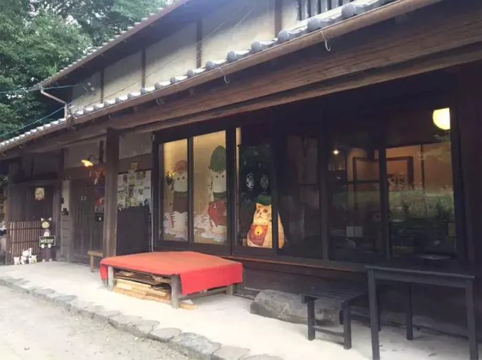 貓奴必來參拜!全是貓的「喵喵寺」 奧嘟嘟貓住持、貓和尚都來歡迎你~