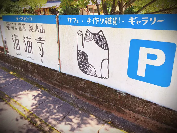 貓奴必來參拜!全是貓的「喵喵寺」 奧嘟嘟貓住持、貓和尚都來歡迎你~