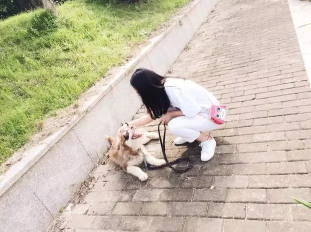 小阿拉太瘦弱被拋路邊 路過善良妹「霸氣收編」:負責把你養大變美!