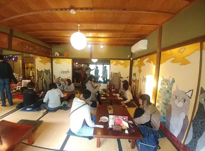 貓奴必來參拜!全是貓的「喵喵寺」 奧嘟嘟貓住持、貓和尚都來歡迎你~