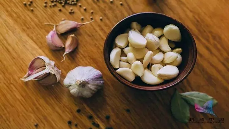 都說發芽食物有劇毒?這些食物發芽後反而營養翻倍,不知道的虧大了!