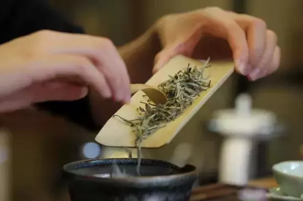 茶,就是人體器官最好的保護傘!