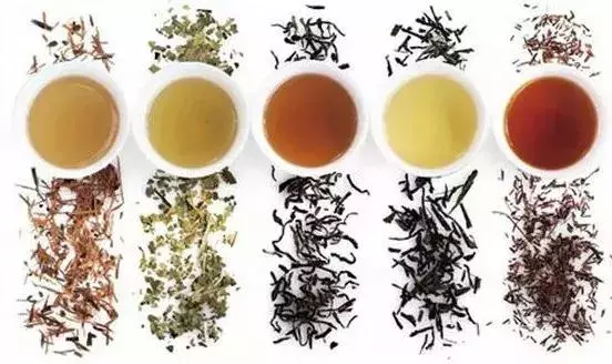 茶,就是人體器官最好的保護傘!