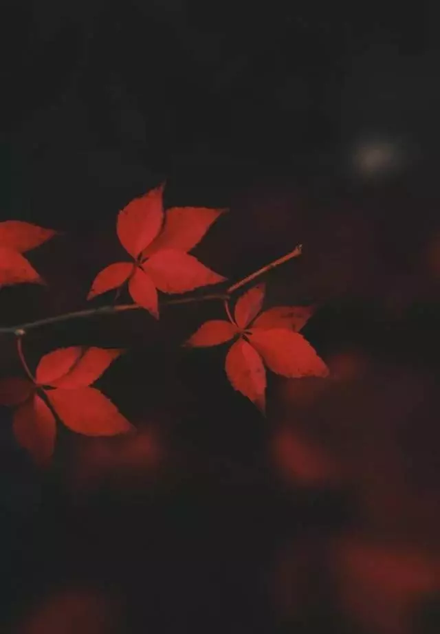 離婚前,千萬別有這種想法!