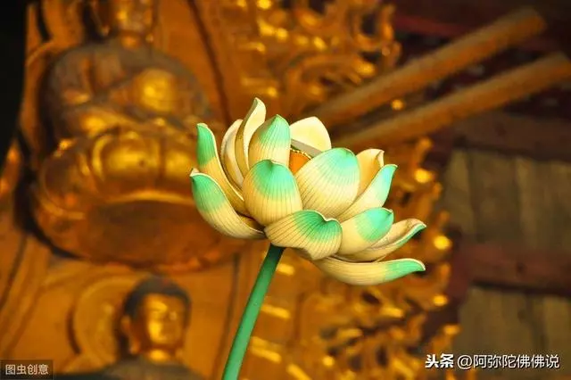 不夸小善,終積大德;不除小惡,終必敗事