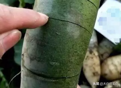 第一次去男友家,婆婆用蘿蔔充當水果招待兒媳,吃過後沉默不語