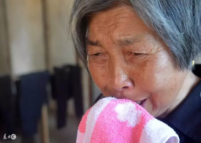 我去城裡兒子家享福,看到桌上面前的飯菜,我一邊吃一邊偷笑