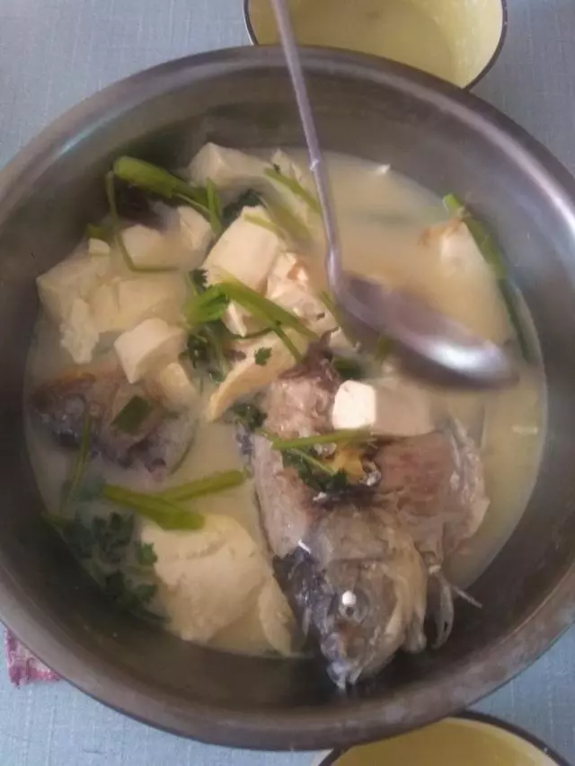 鮮美濃郁的14種魚湯的做法,連吃10天也不膩,看著就流口水