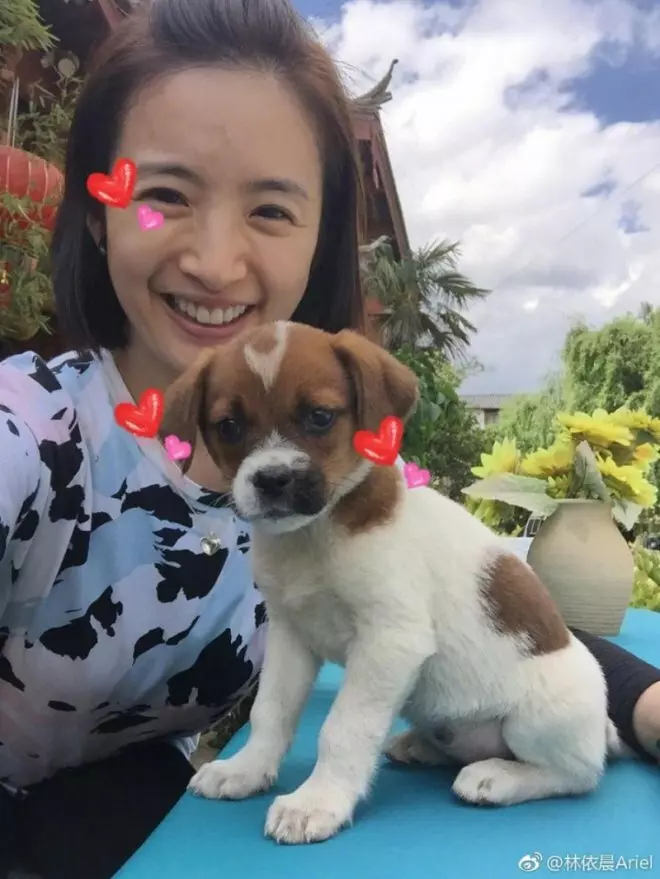 林依晨罕見與老公大放閃!「一句話」道盡結婚4年甜如蜜的秘訣,4個甜蜜語錄 !