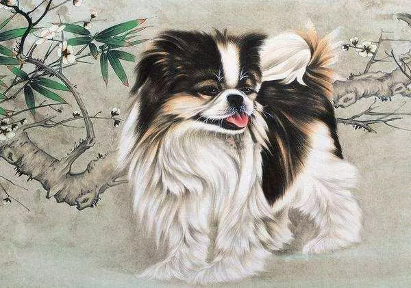 老公屬這個生肖,幸福跑不了,活得更嬌俏,日子滋潤!