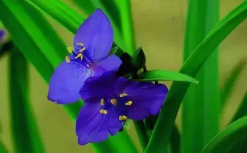舉頭三尺有神明,蒼天饒過誰