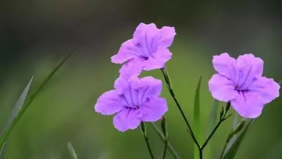 舉頭三尺有神明,蒼天饒過誰