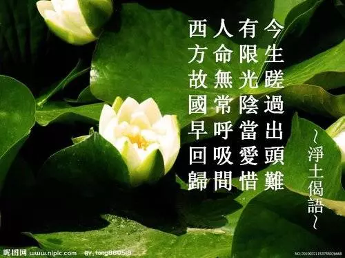 早上醒來,第一件事不是穿衣、喝水,而是...,可惜知道的人太少了,年過四十的人更要看
