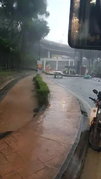 豪雨降橫禍 樹倒活活壓死路人