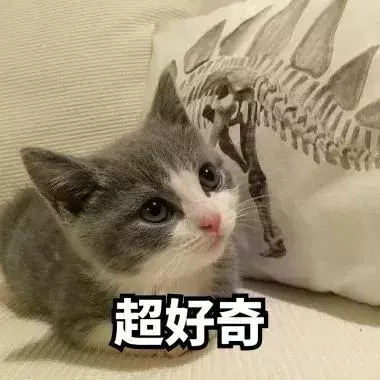 失敗了一輩子的男主,轉生後開局就碰到了僵屍、幽靈和骷髏