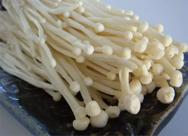 這8種蔬菜沒煮熟吃下肚損害健康,尤其是第一個,90%的人天天都在吃,一定要注意!