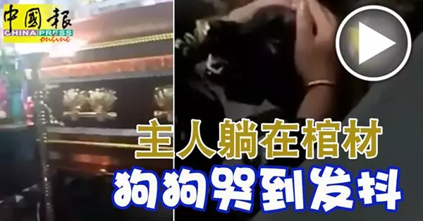 男躺棺材 歡樂拍照 翌日即車禍身亡