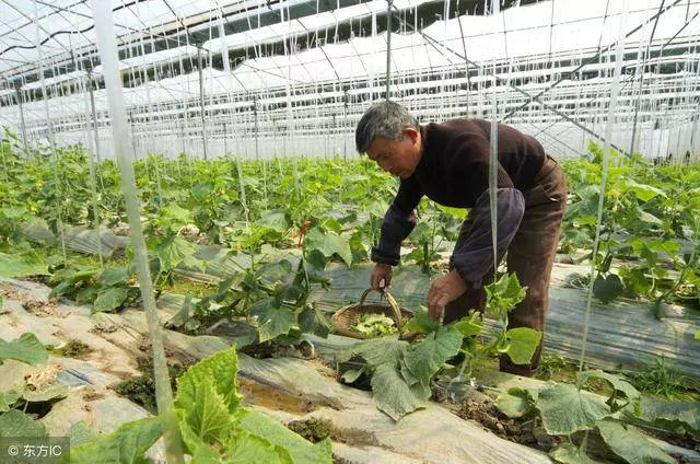 兒子婚後三年未回,我去看望,卻被屋裡一個陌生男人喊媽