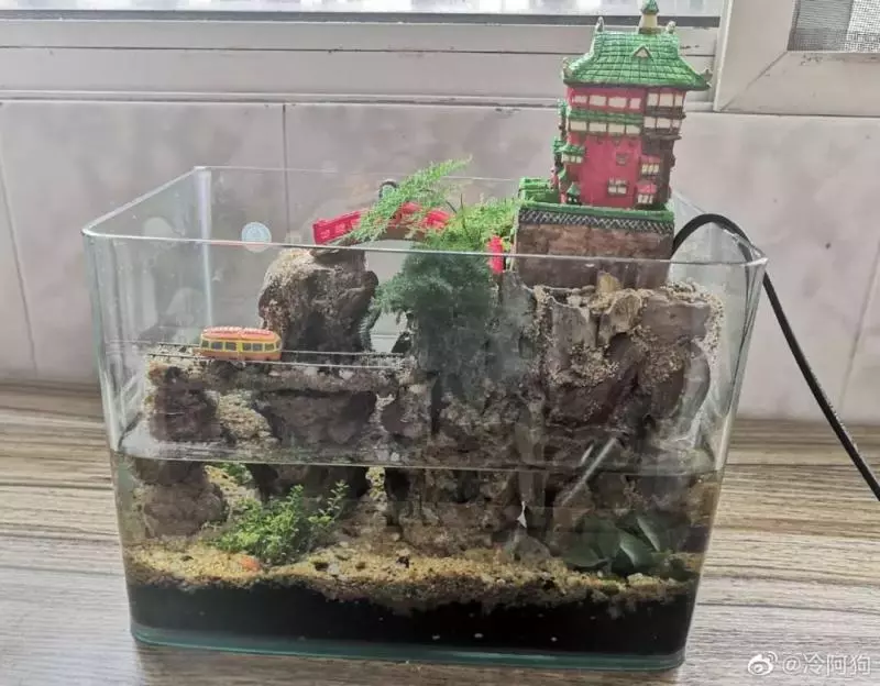 宮崎駿動畫被奶爸搬到現實,房子比手指還小,30萬粉絲每日在線催更