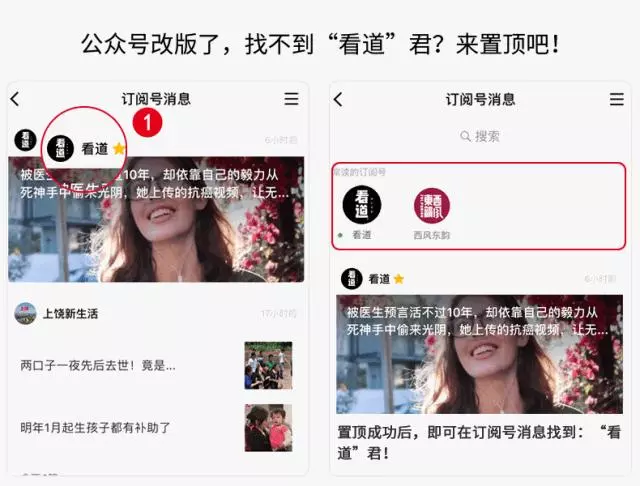 宮崎駿動畫被奶爸搬到現實,房子比手指還小,30萬粉絲每日在線催更