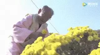 這對相戀76年的「甜蜜情侶」,「枯燥」日常卻讓人從頭哭到尾:時間這條河太寬,我們總會被相隔在兩岸