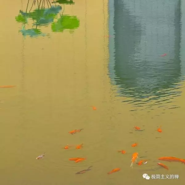佛說:「有一種命中注定,叫無可奈何!」