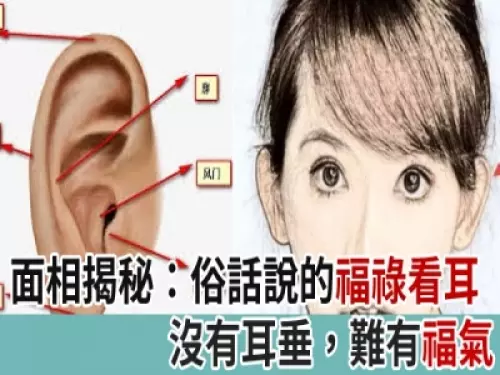 面相揭秘:俗話說的福祿看耳,沒有耳垂,難有福氣!