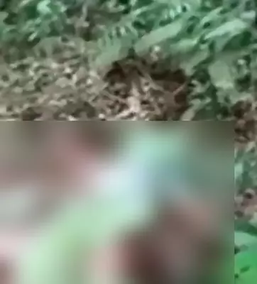 香蕉葉 裹裸屍 女兒慘死 父母痛心
